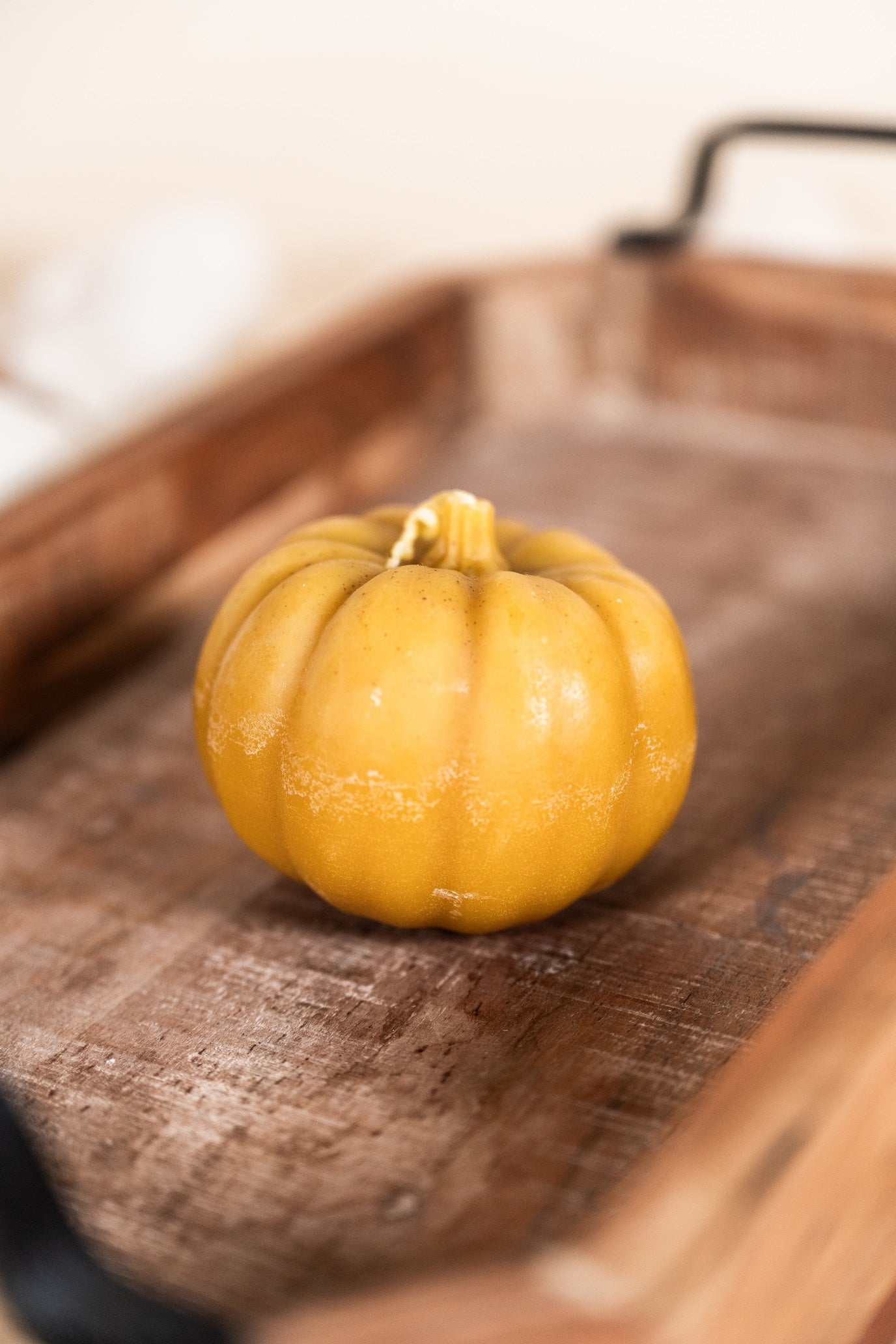 Beeswax Pumpkin Candle