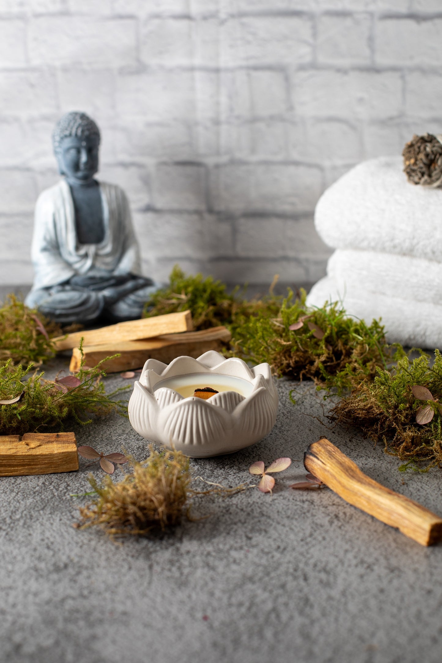 Lotus soy wax candle in gypsum container